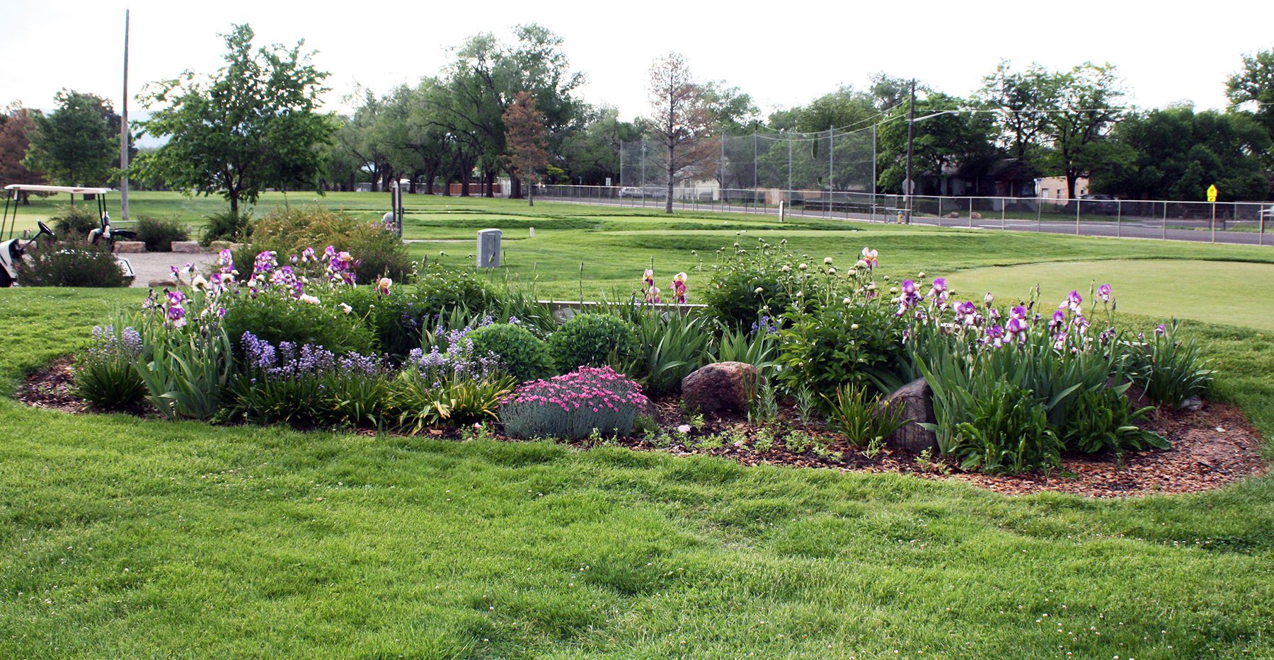Lincoln Park Golf Course_Spring Tiara Rado Golf Course
